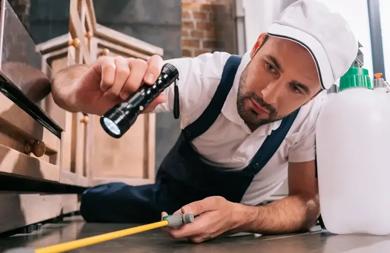 tech inspecting kitchen